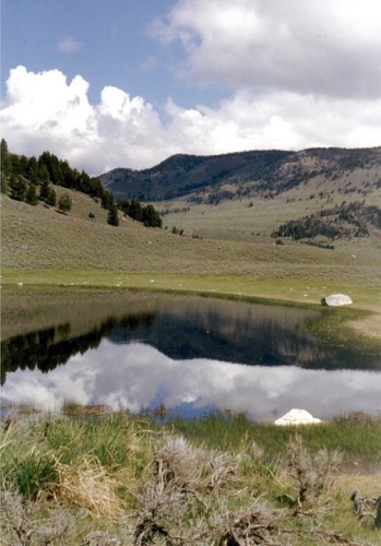 Lamar Valley